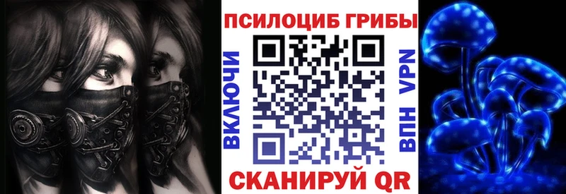 Псилоцибиновые грибы мухоморы  где продают наркотики  Новопавловск 